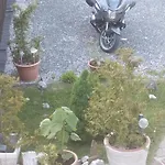 Evka 게스트하우스 포프라트