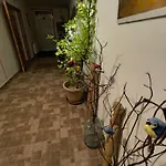 Evka